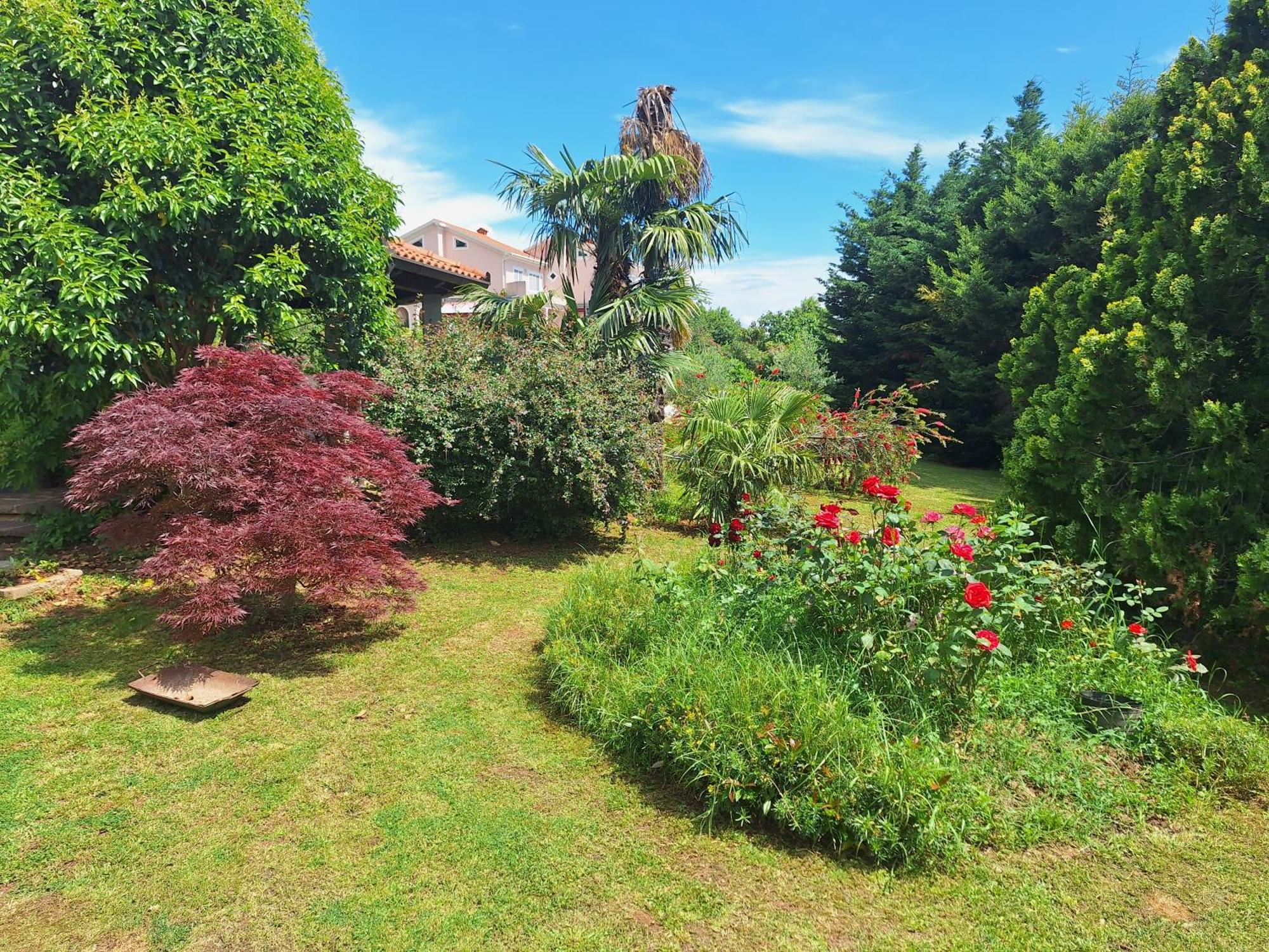 Villa Fiumana Rijeka Bilik gambar